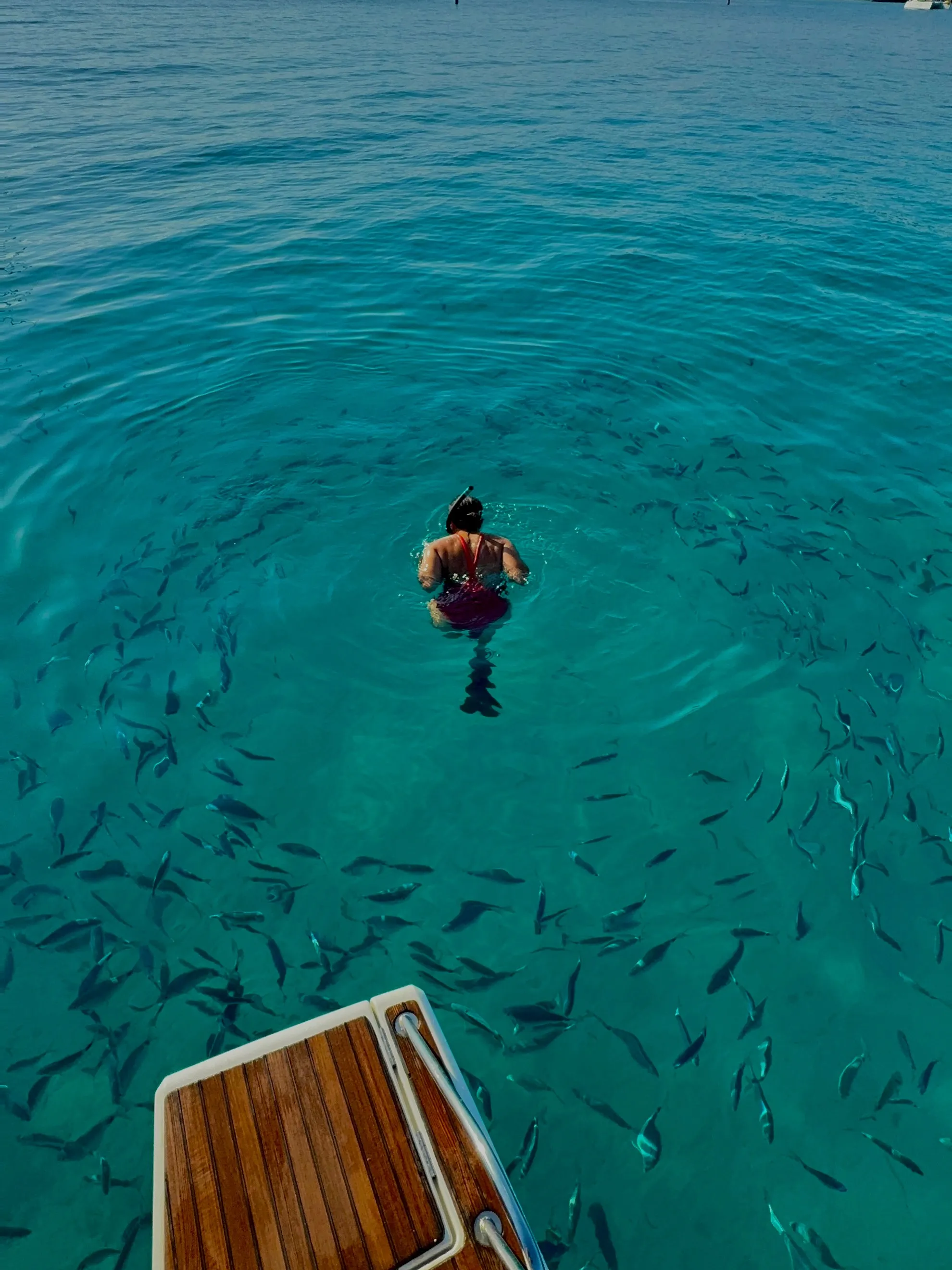 Underwater Museum & Water Sports